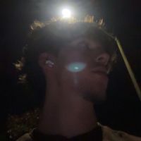 notnoahtersigni