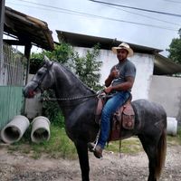 moraes4361
