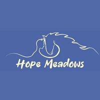 hopemeadowsequine