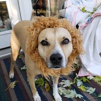 nikkimawmawninnihays