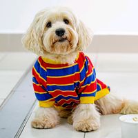 capitan_rocco