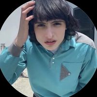 TWINKS