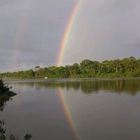 ribeirinhodopara