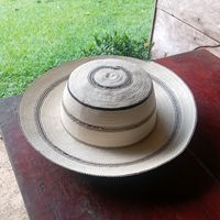 bellotayjunco