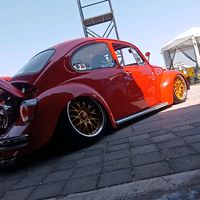 picazovolks