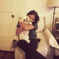 gh0st.rcool