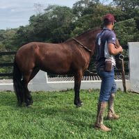 e.wellingtonjonathan