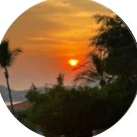 fan_de_pau6