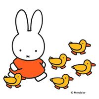 hbo white lotus opening