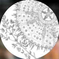 suara asli - Renatta