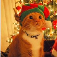 original sound - UhmmKashh✝️