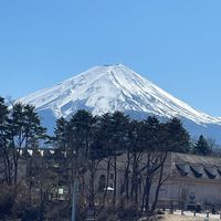 原聲