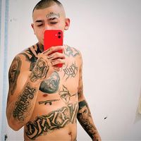 bofoxx3