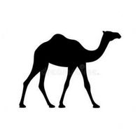 somali.archived.history2