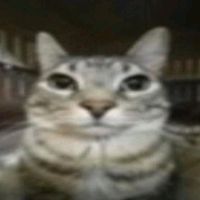 sarinha_slv1