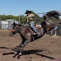 gmkowboy03