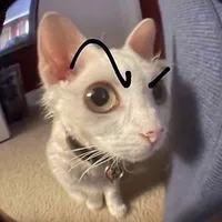 original sound - eddievrrfx