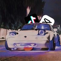 solo_se_admiten_coches