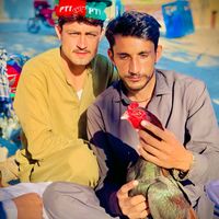niaz.baloch1122