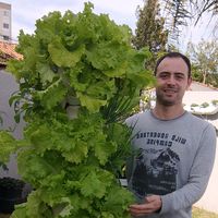 dicas.de.horta