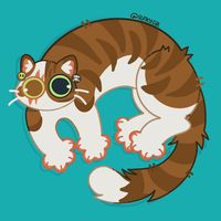 5tinky.cat