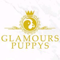 glamours_puppys