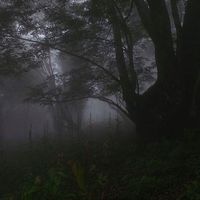 оригинальный звук