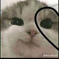 kiara._.castro8