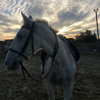 wenn alle stricke reißen