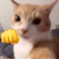 soka_jpk