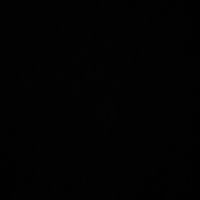 PULLUPINDAMONSTAAUTOMOBILEGANGSTA