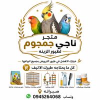 birds0942