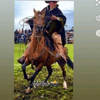 original sound - roniarmendaris_panata04