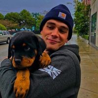 оригинальный звук