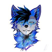 ronaldtc93