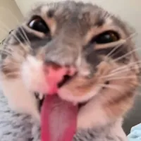 original sound - not.naynayvelo