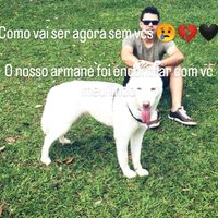 iolanda.silva11