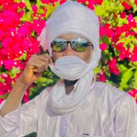beribour453