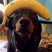 demieatsstrawberries