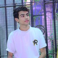 الصوت الأصلي