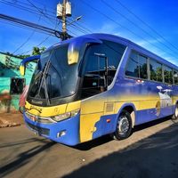 buses.launion.sv