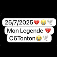 wizlemotar1c6