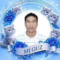 guzman82.s.a