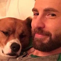 chrisevansistheloml__