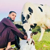الصوت الأصلي