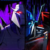 optimus73877