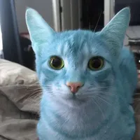 original sound - _asa999