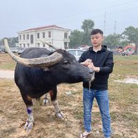 nhạc nền - Fb:Trung carôs🍀🐃