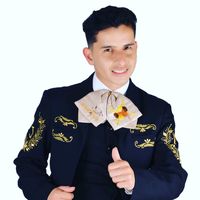 Ella es Mi Abuela Mariachis Armenia