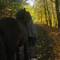 milaa.equestrian
